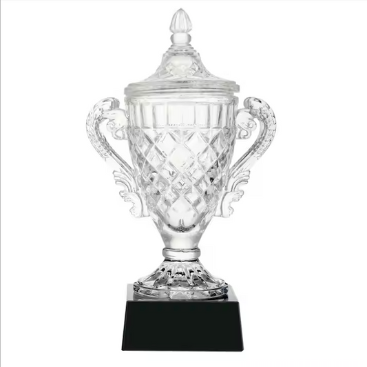 Premium K9 Crystal Trophy Cup